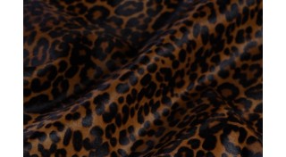 Поні, теля (1)