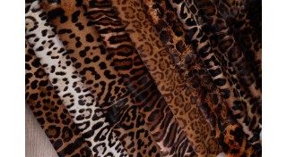 Поні, теля (13)