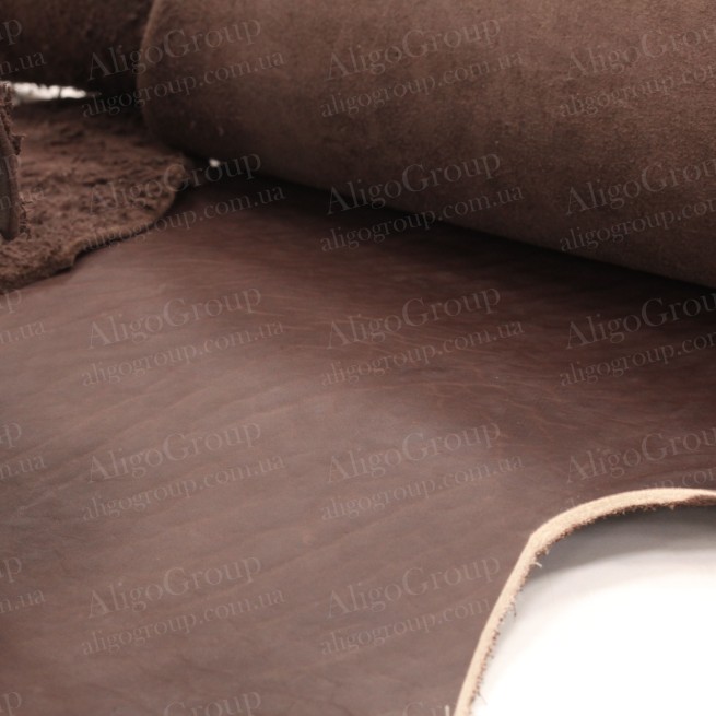 Aligo Group фото