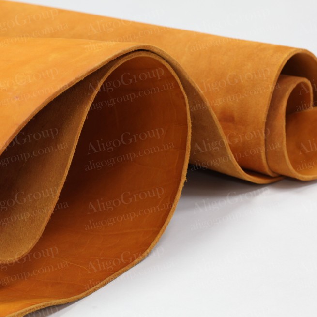 Aligo Group фото