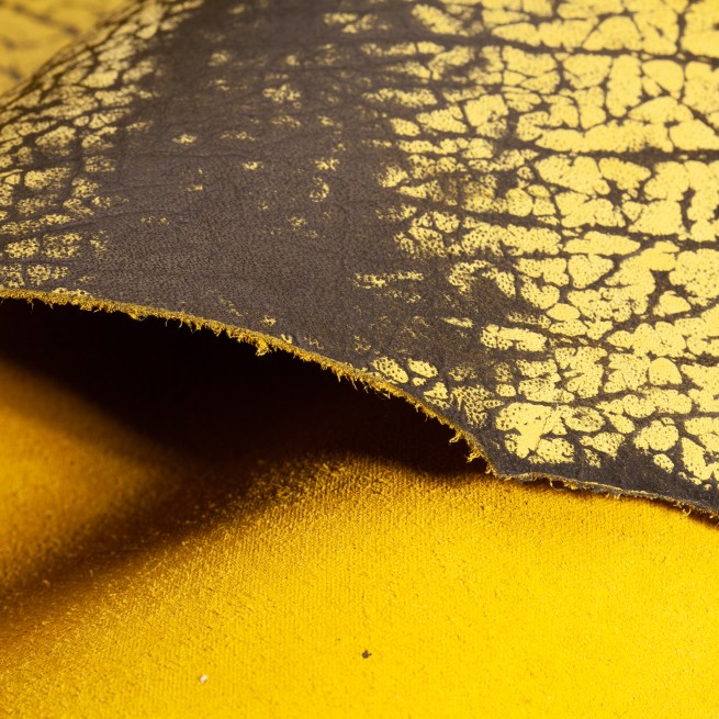 Aligo Group фото