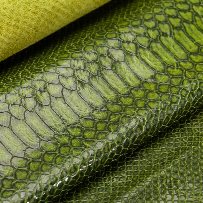 Aligo Group фото