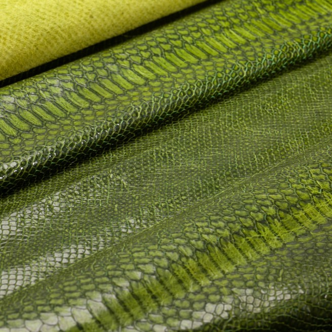 Aligo Group фото