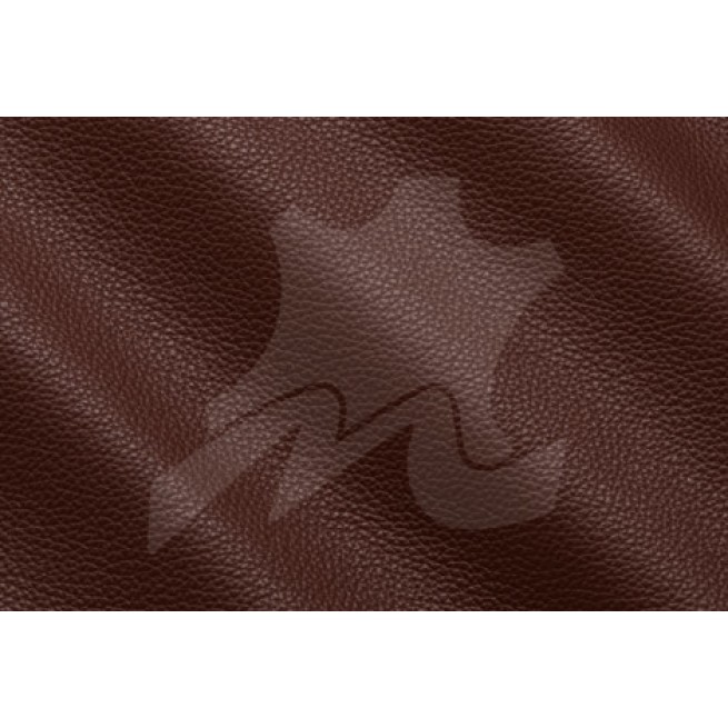 Aligo Group фото