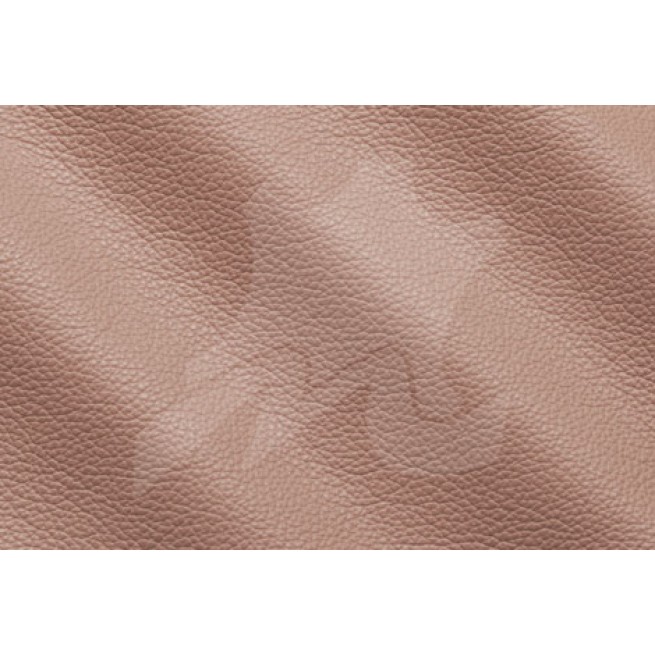 Aligo Group фото