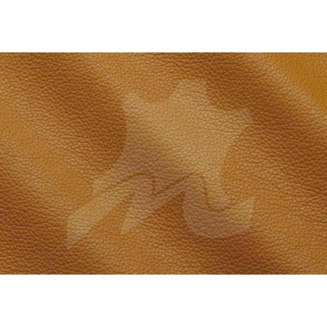 Aligo Group фото