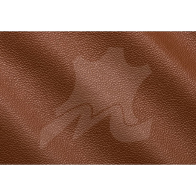 Aligo Group фото