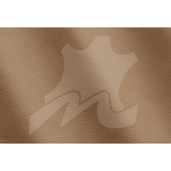 Aligo Group фото