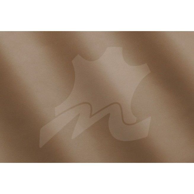 Aligo Group фото