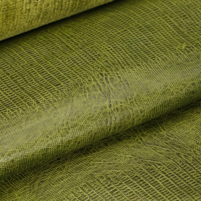 Aligo Group фото