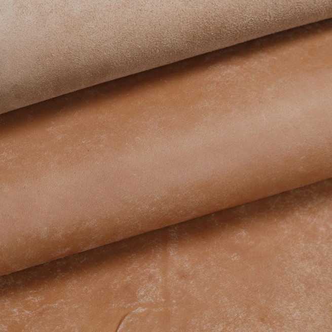 Aligo Group фото