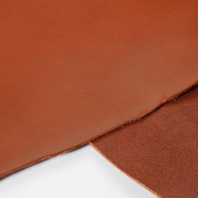 Aligo Group фото