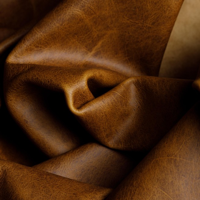 Aligo Group фото