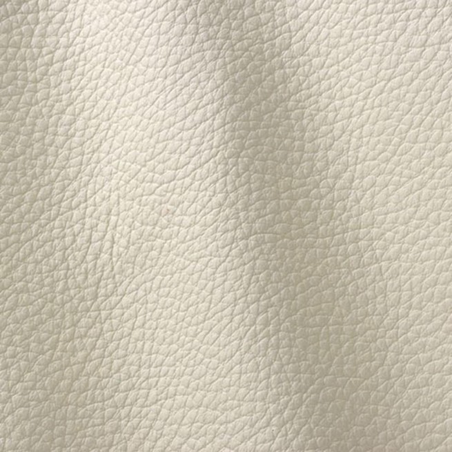 Aligo Group фото