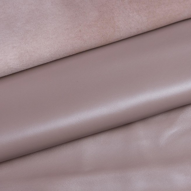 Aligo Group фото