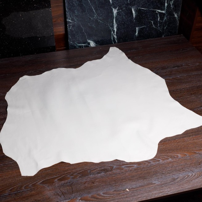 Aligo Group фото