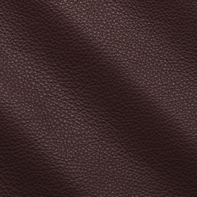 Aligo Group фото