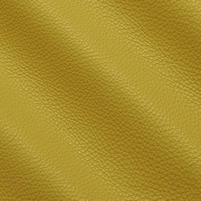 Aligo Group фото