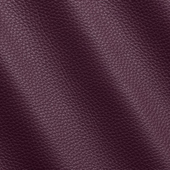 Aligo Group фото