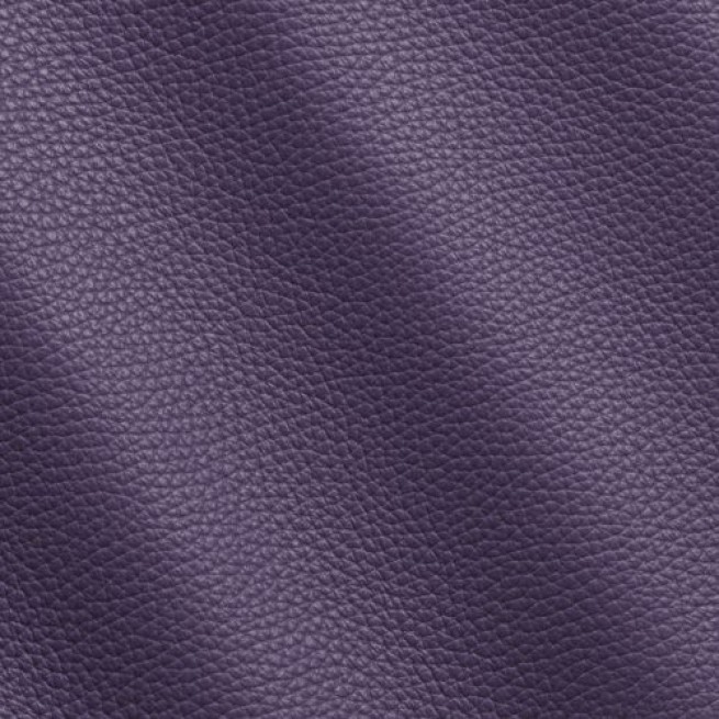 Aligo Group фото