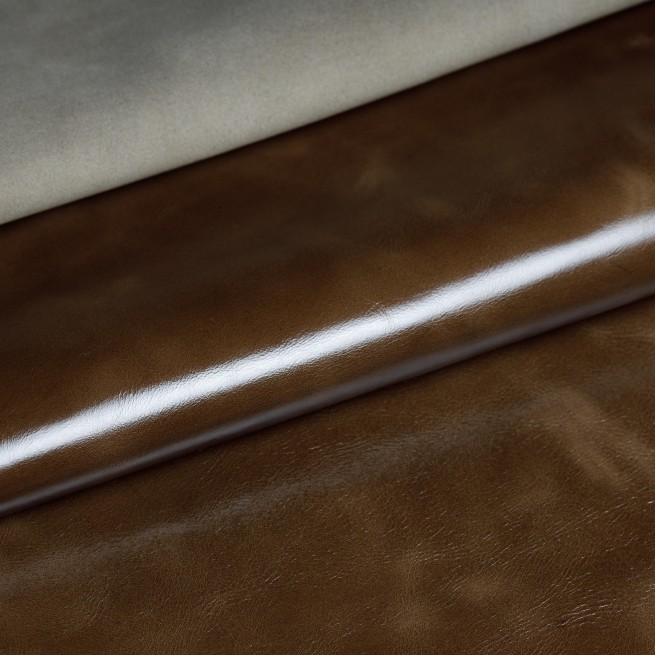 Aligo Group фото