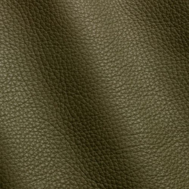 Aligo Group фото