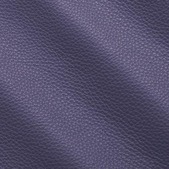 Aligo Group фото