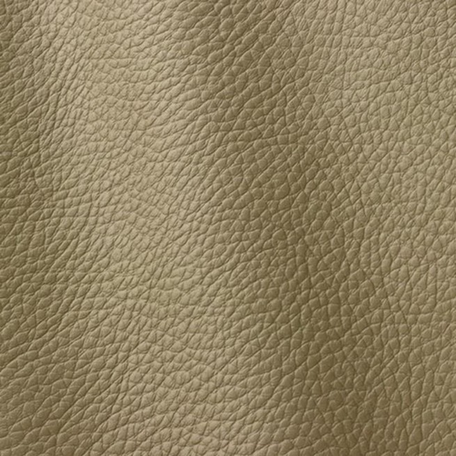 Aligo Group фото