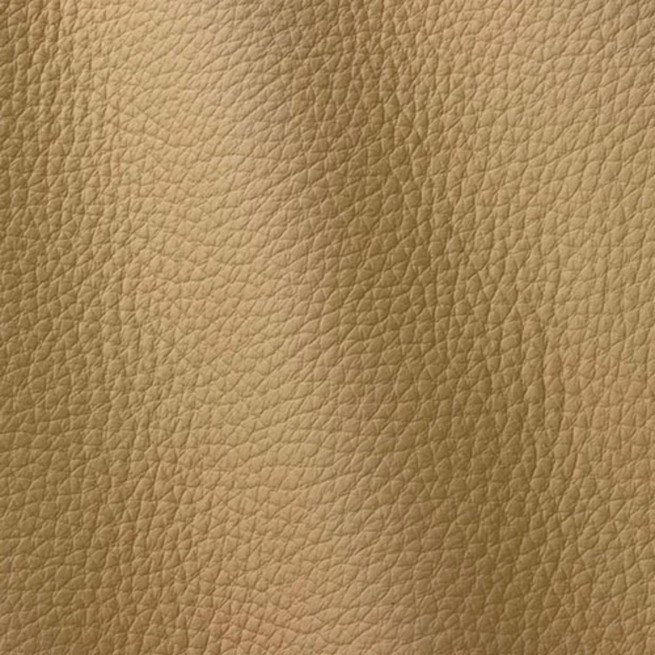 Aligo Group фото