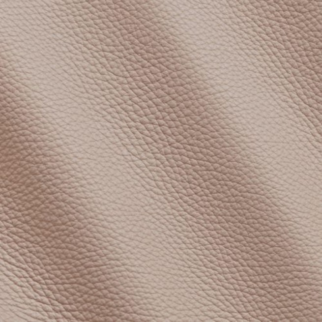 Aligo Group фото