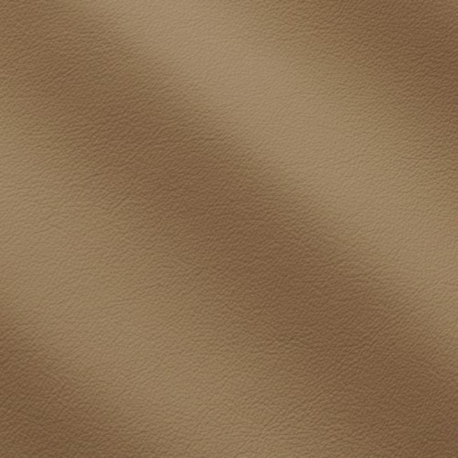 Aligo Group фото