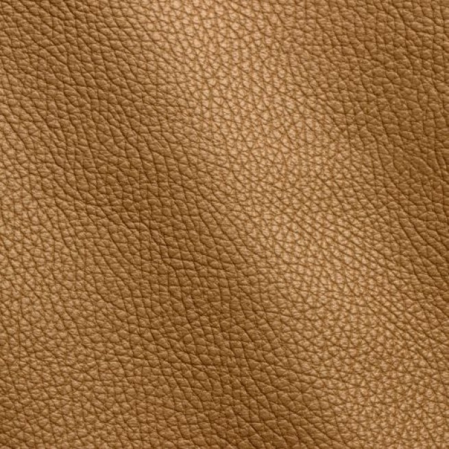 Aligo Group фото