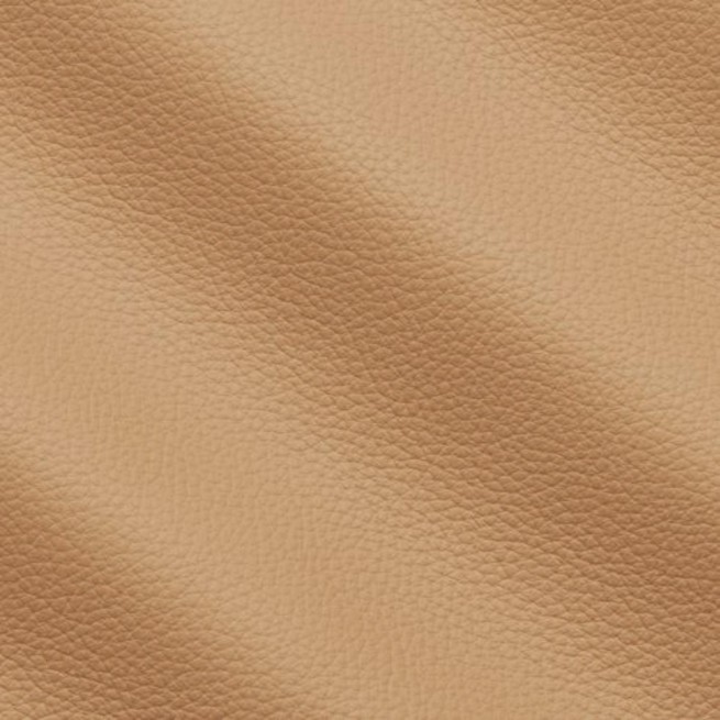 Aligo Group фото