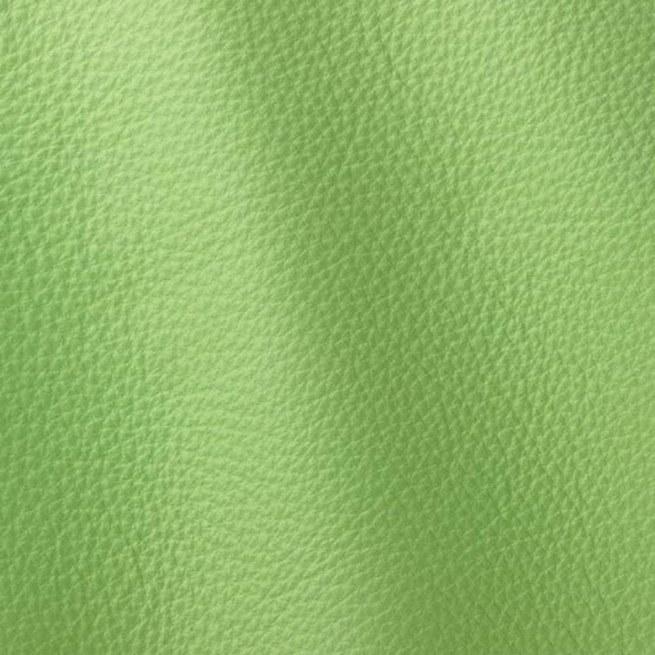 Aligo Group фото
