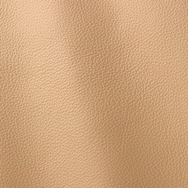 Aligo Group фото
