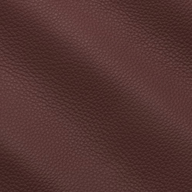 Aligo Group фото