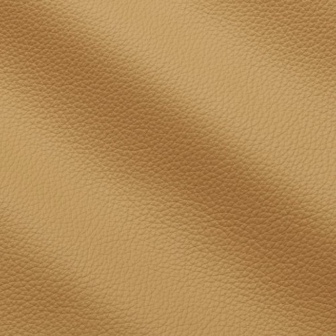 Aligo Group фото