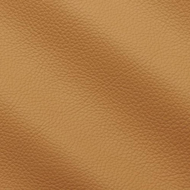 Aligo Group фото