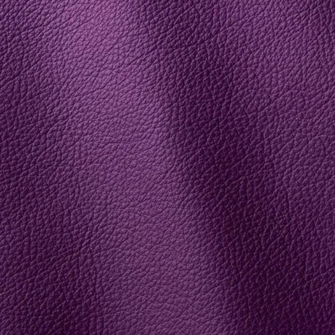 Aligo Group фото