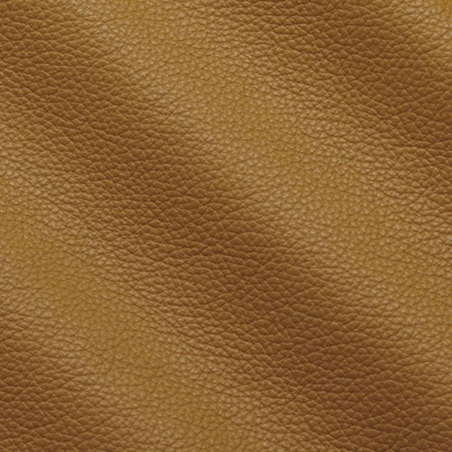 Aligo Group фото