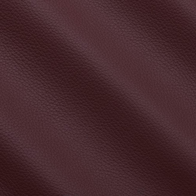 Aligo Group фото