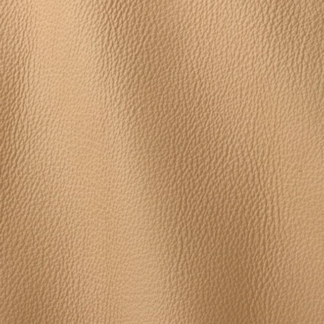 Aligo Group фото