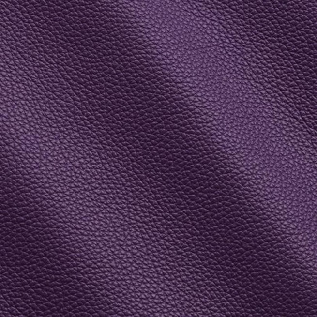 Aligo Group фото