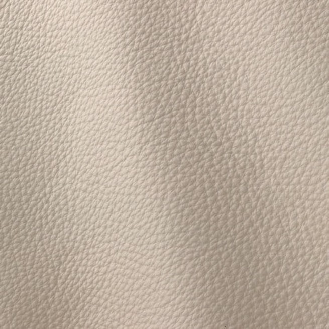 Aligo Group фото