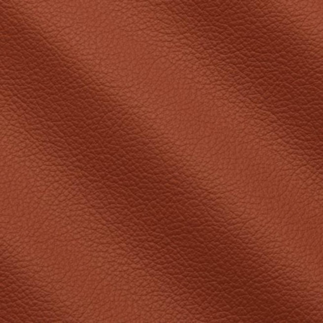 Aligo Group фото