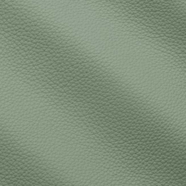Aligo Group фото