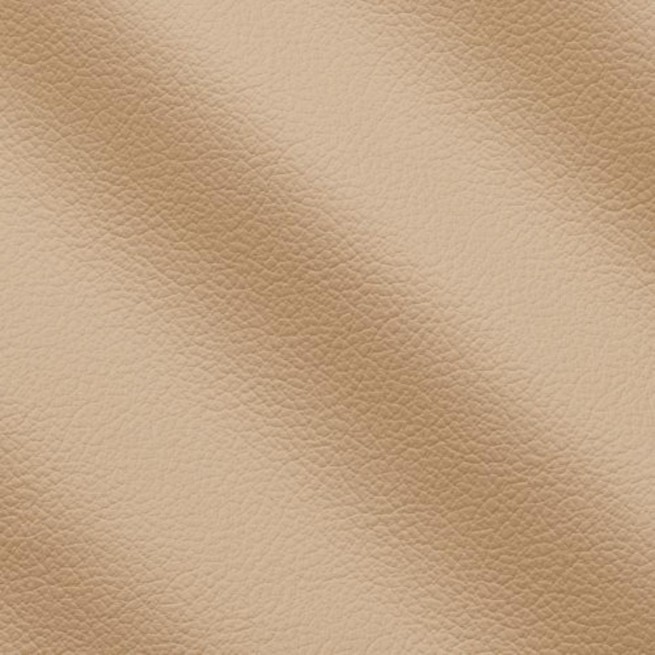 Aligo Group фото