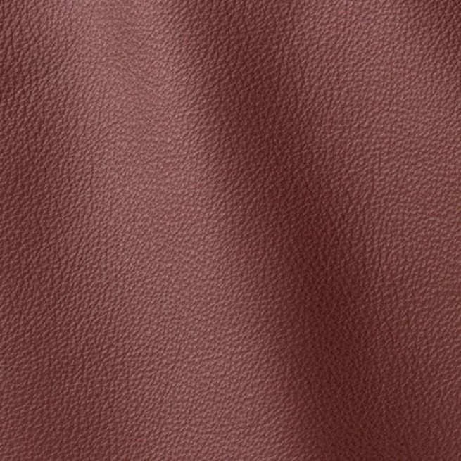 Aligo Group фото