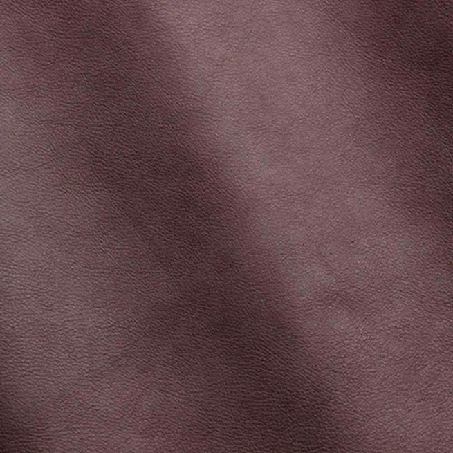 Aligo Group фото