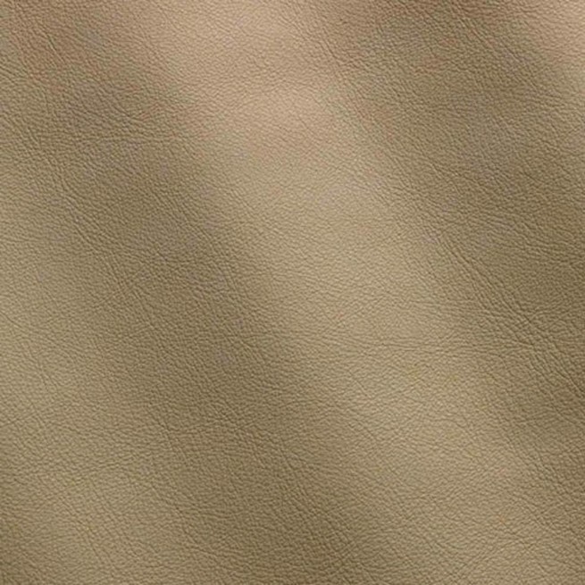 Aligo Group фото